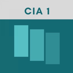 CIA Part 1 Exam Flashcards