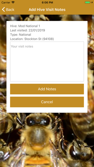 Apiarist 2019(圖6)-速報App