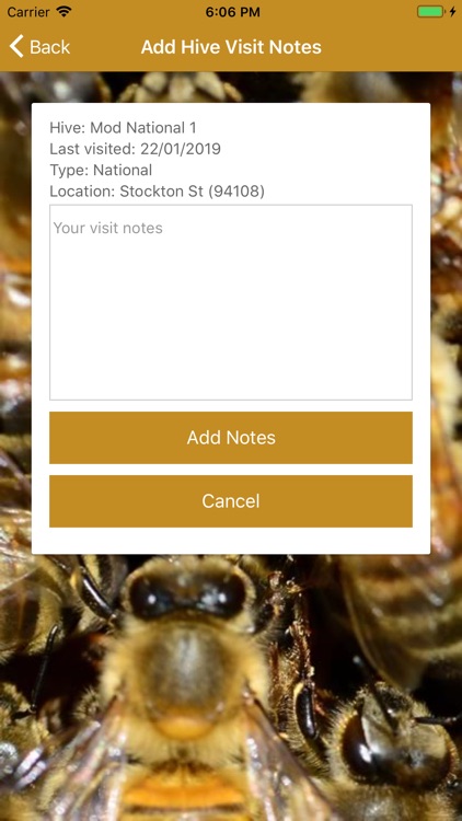 Apiarist 2019 screenshot-5