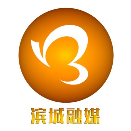 滨城融媒logo