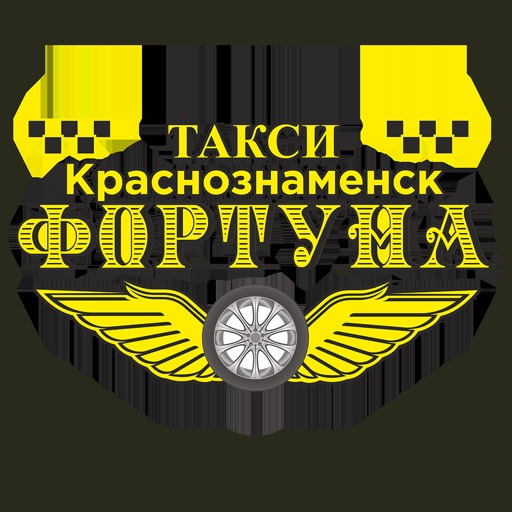 Фортуна  Краснознаменск icon