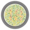 Color Vision Test Lite