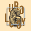 Fellowship Urology Handbook Pty Ltd - Urology アートワーク