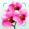 Flower, plant and mushroom identification+ care guide+ virtual garden with reminders