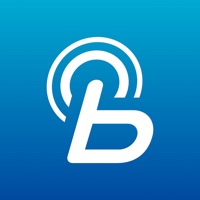 Hyundai Bluelink Europe apk