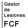 Gestor de Lesiones FCF