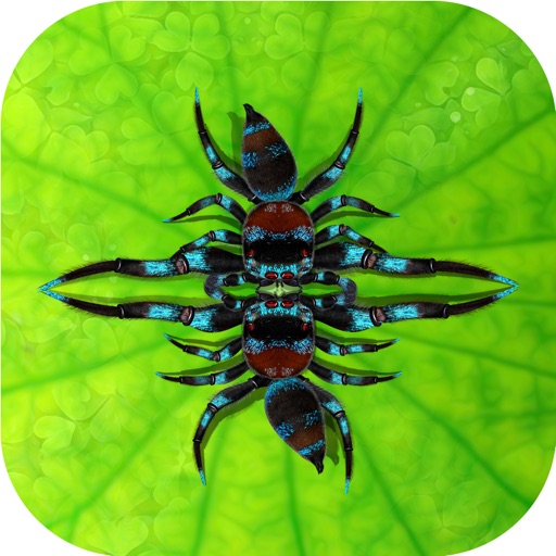 Fighting Spiders iOS App