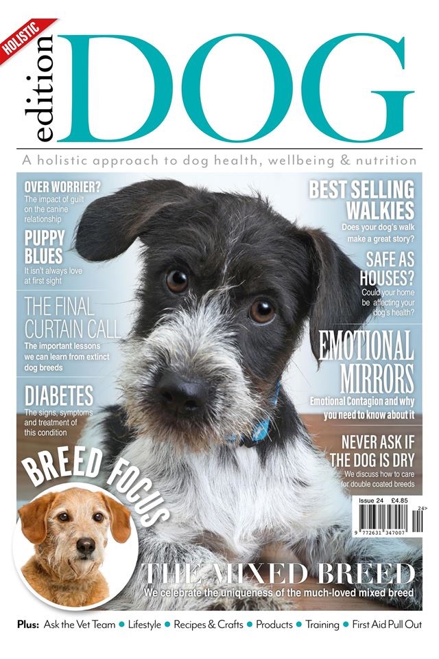 Edition Dog Magazine screenshot 2