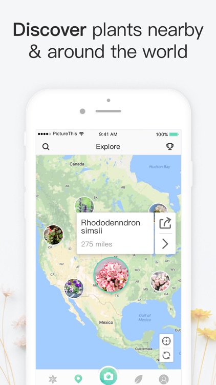 PictureThis - Plant Identifier screenshot-6