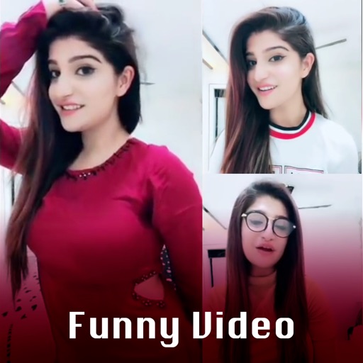 Best Funny Videos Collection