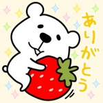 Kumasuke Colorful