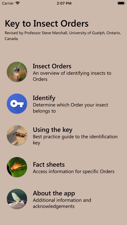 Key to Insect Orders - Revised screenshot-1