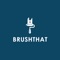 BrushThat helps homeowners and local painting professionals to connect easily to acquire bids for needed home painting repairs and renovations