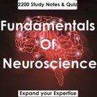 Fundamentals Of Neuroscience : 2200 Study Notes & Quizzes