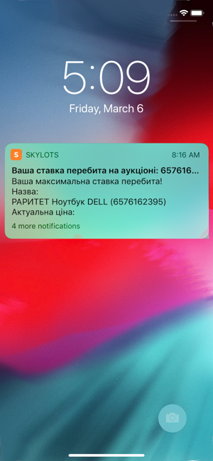 SkyLots Аукцион и Маркетплейс(圖4)-速報App