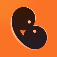 Bloomer-random video chat apk