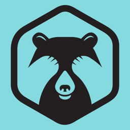 Shy Bear Brewing