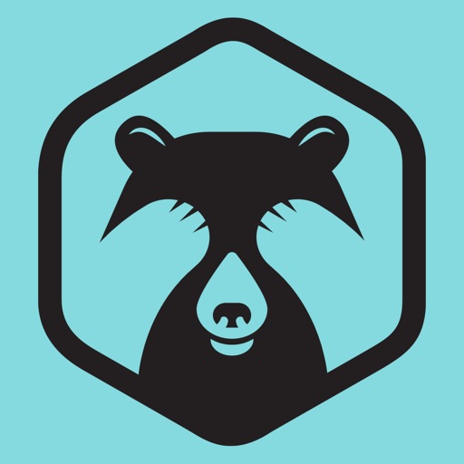 Shy Bear Brewing