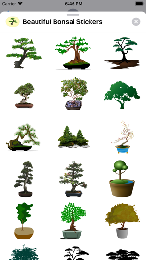 Beautiful Bonsai(圖1)-速報App