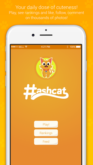 How to cancel & delete Hashcat - Cat's social network from iphone & ipad 1