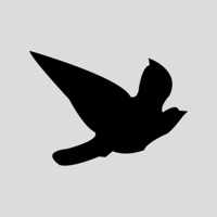  Blackbird Worldwide Corp. Alternatives