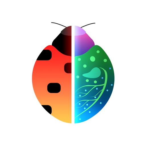 Insect Identification Icon