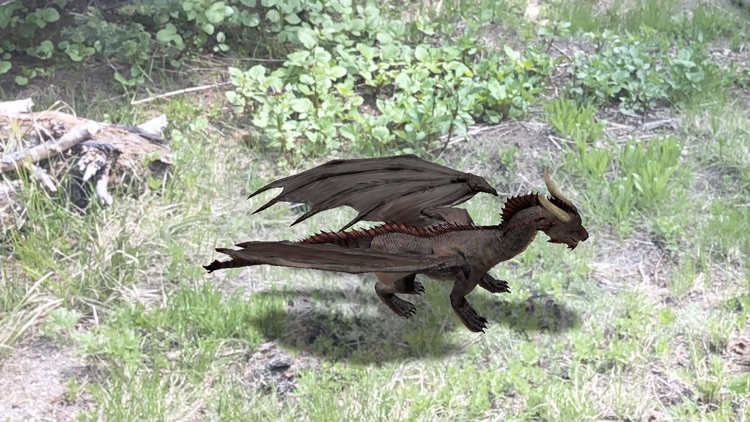 Dragons-Augmented Reality