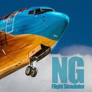 NG Flight Simulator