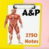 Human Anatomy & Physiology A&P