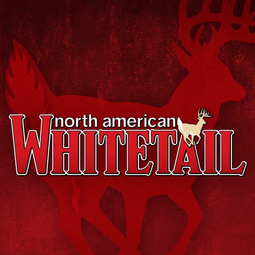 North American Whitetail