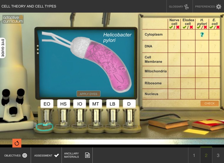 Cell Theory and Cell Types