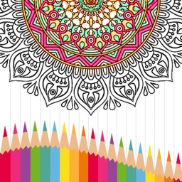 Color Number - Paint by Number