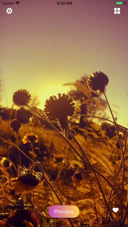 StarWallpaper & Live