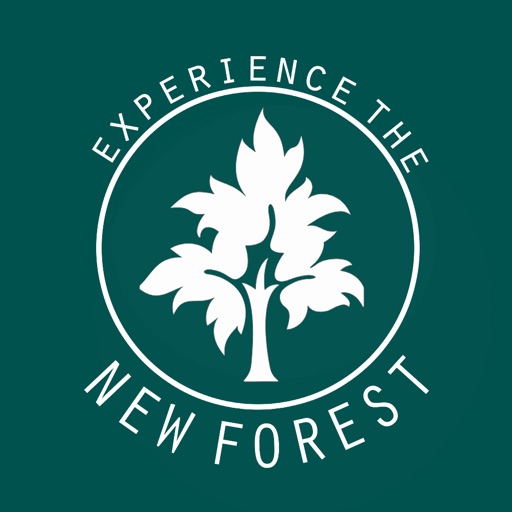 Experience the New Forest