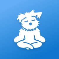  Meditation | Down Dog Alternative