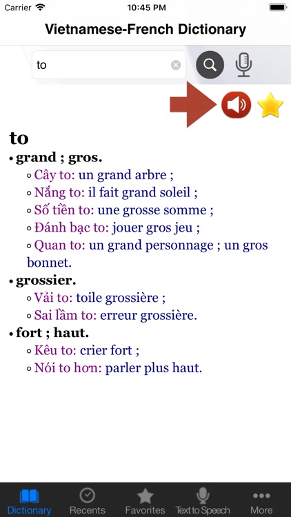 Vietnamese-French Dictionary