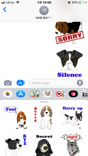 Funny Dog Messages(圖5)-速報App