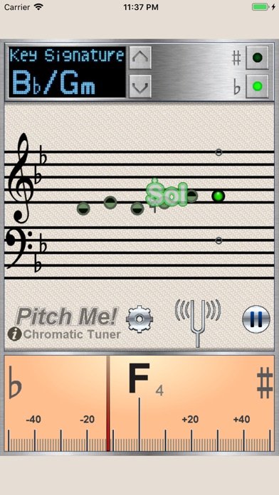 How to cancel & delete PitchMe - Chromatic Tuner from iphone & ipad 1