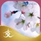 Healing Music for the by Soul Robert J