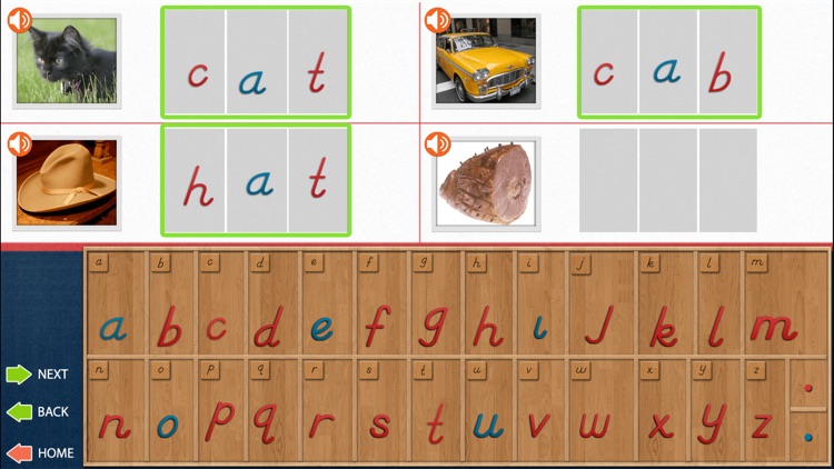 Movable Alphabet - D'Nealian screenshot-4