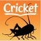 Cricket Mag: Literature & Art
