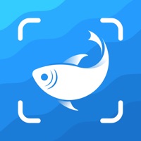 Picture Fish app not working? crashes or has problems?