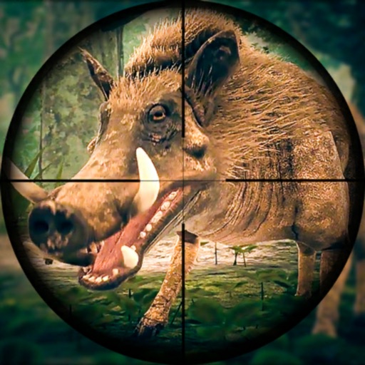 Wild Hunt Pig Sniper Shooting iOS App