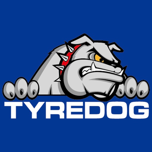 TYREDOG TPMS 藍芽胎壓偵測