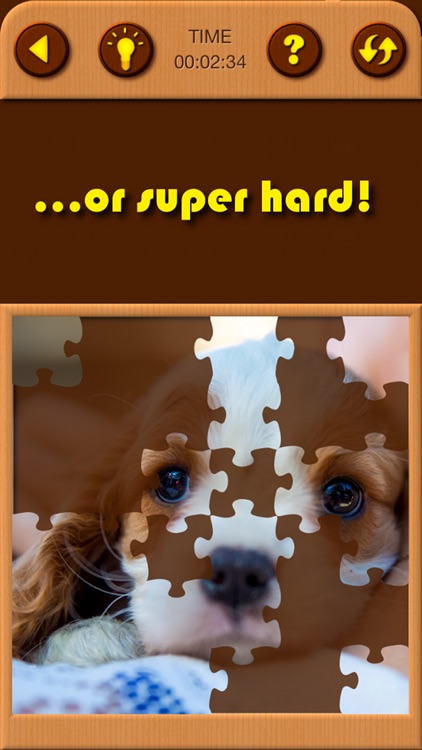 Cute Puppy Jigsaw Puzzle Games screenshot-3