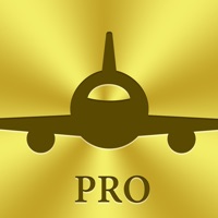飞常准PRO-全球航班查询机票酒店预订 на пк