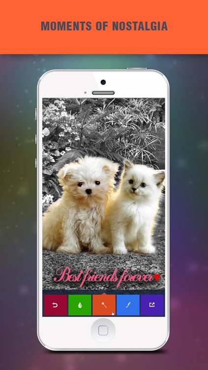 Blender Photo Editor FREE - Create quirky twins fx with artsy fonts "for FB, dropbox, twitter, hotmail & flickr"