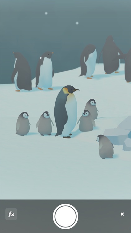 Penguin Isle