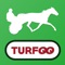 Suivez les COURSES HIPPIQUES EN DIRECT sur votre mobile