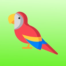 Activities of Parrot World Memory Trainer